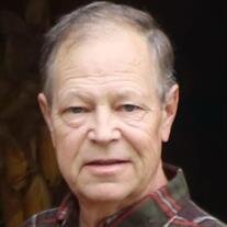 Michael Richard Ronchetto