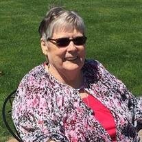 Sharon Diane Steinmetz