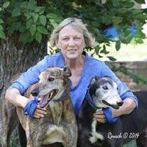 Theadora (Teddy) Sue Palmer