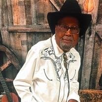 Mr. Robert Louis Hill