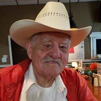 Stengle K. Watkins