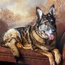 Ruger