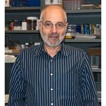 Kenneth E Weber
