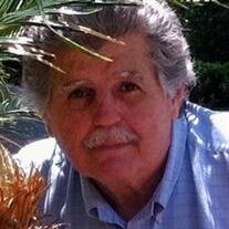 Peter DeMasi Jr.