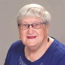 Joyce Elaine Aardema