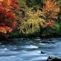 Robert L. Harring Sr.