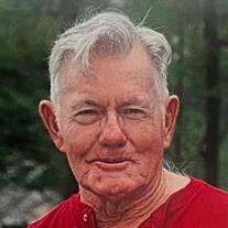 Ray D. Lamb