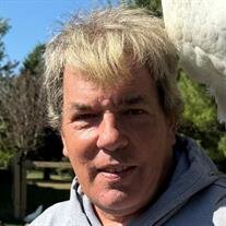 Mark A Hall