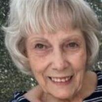 Sue Molenda