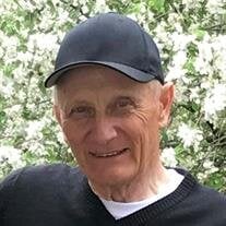 Lynn V. Fargo