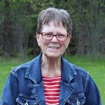 Brenda Jean Bellmore-Roesner