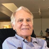 Mr. Louis William Steinwedel, Esq.
