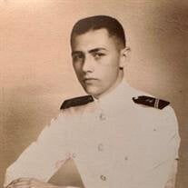 Dr. James Waller Lambuth Lewis