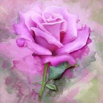 Mary Carol Reeves