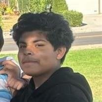 Jose Emiliano Zamora Jr.