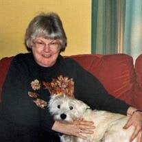 Cynthia Eisenman