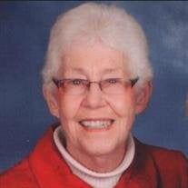 Nancy Schepler
