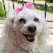 Blondie Swidorsky