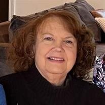 Sue Ann Johnston