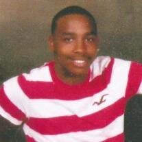 MR MICHAEL ALLEN  JOHNSON