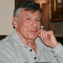 DR. VERNON STERNHILL