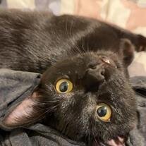 Binx