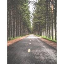 Jarrod Michael Browning