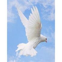 Gladys Annette Kunisch