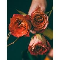 Mary Frances Roush