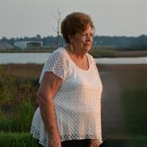 Mrs. Sandra Kay Willis