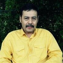 Manuel Flores Herrera