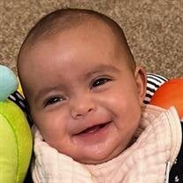 Ella James Araya