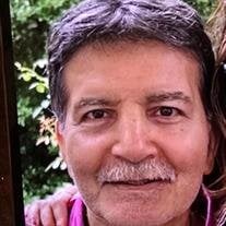 Reza Jahani