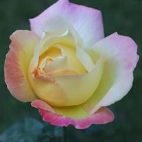 Debra Rose "Debbie" Belk Boggan