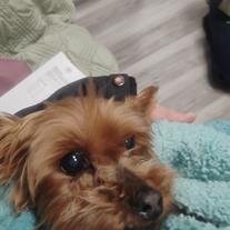 Gabby