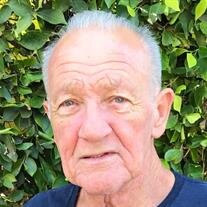 Joe Doppieri