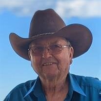 Mr. David Llewellyn Patterson