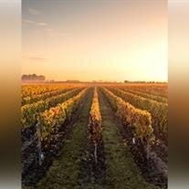 Christopher Lee Leight