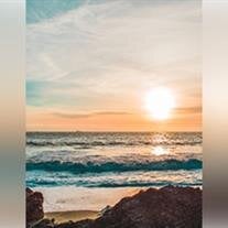 Kenneth Leroy McFall