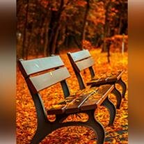 Julian Timothy Dailey