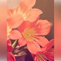 Joyce Eileen Sizemore