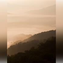 Timothy Robert Evans