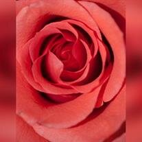 Michele Renee Bjorge-Lathrop