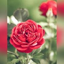 Inger Felicia McCullough