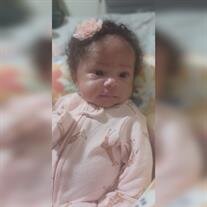 Marlie Rose Andrews
