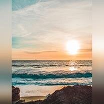 Andrew Howard Bowers