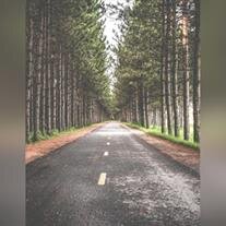 Herman Oland Mennerick