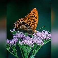 Lillian  Anne McCleaf