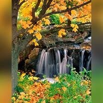 Sherry  Lucille Brown