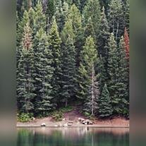 Zachary  Anthony Miles